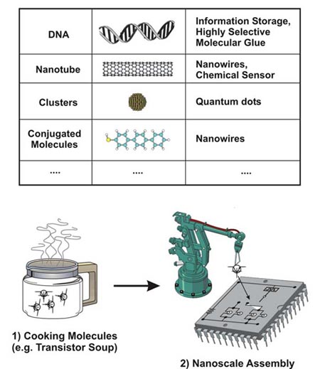 Biophysics Nanostructures